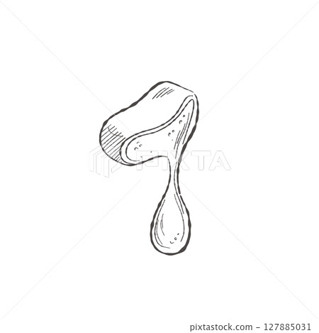 Aloe Vera Leaves Slice Melting Gel Vector Illustration Aloe Vera Leaves Slice Melting Gel Vector Illustration 127885031