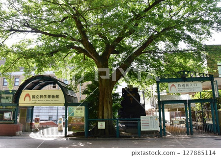 Tokyo National Museum of Nature and Science and fresh greenery in Ueno Park, Taito Ward 127885114