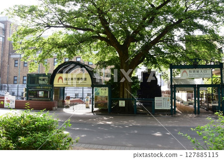 Taito Ward: Forest Walking Path in Ueno Park and Tokyo National Museum of Nature and Science 127885115