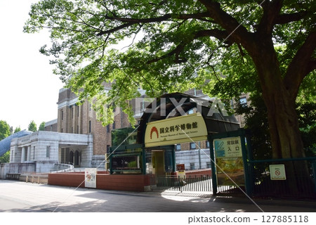 東京國立科學博物館和台東區上野公園的新綠 東京國立科學博物館和台東區上野公園的新綠 127885118