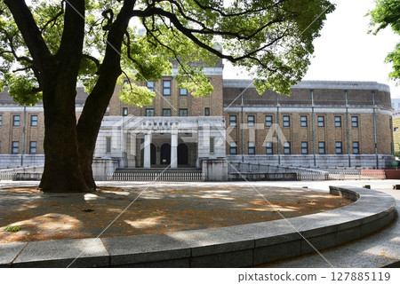 東京國立科學博物館和台東區上野公園的新綠 東京國立科學博物館和台東區上野公園的新綠 127885119