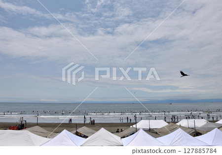 A black kite flies over the beach event venue A black kite flies over the beach event venue 127885784