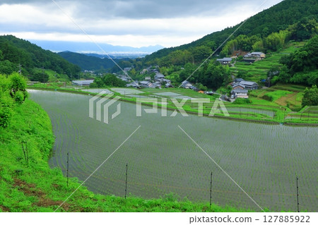 明日香村細川的梯田 明日香村細川的梯田 127885922
