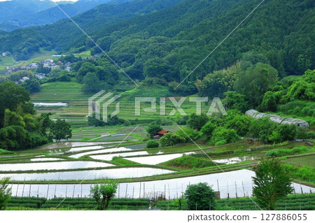 Rice terraces in Inabuchi, Asuka Village 127886055