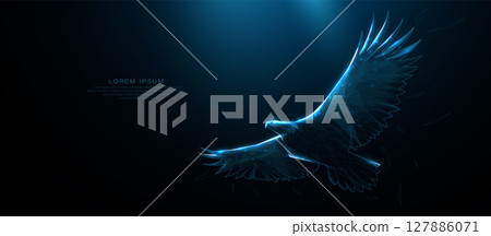 Bald eagle flying. Animal wildlife. Futuristic digital technology. Low polygonal, wireframe, linear and mesh illustration Bald eagle flying. Animal wildlife. Futuristic digital technology. Low polygonal, wireframe, linear and mesh illustration 127886071