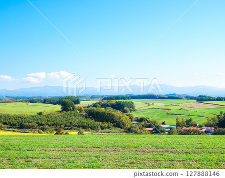A refreshing early autumn view of the hills of Biei, Hokkaido A refreshing early autumn view of the hills of Biei, Hokkaido 127888146