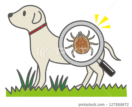 感染狗的蜱蟲 127888672