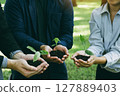 Concept of the Environment World Earth Day. Business hands holding green plants in soil together are the symbol of green business company and collaboration in a green business. 127889403