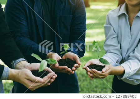 Concept of the Environment World Earth Day. Business hands holding green plants in soil together are the symbol of green business company and collaboration in a green business. 127889403