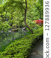 Japanese garden 127889936