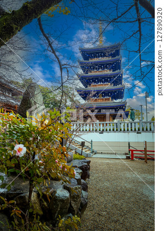 Spring at Nakayamadera Temple, walking through the plum grove, March 11, Japan 127890320
