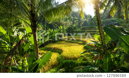 View of Tegallalang Rice fields terraces in Ubud, Bali, Indonesia 127890389