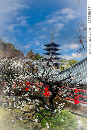 White plum blossoms in full bloom and five-story pagoda, Takarazuka Nakayama-dera Temple, March 11, Japan White plum blossoms in full bloom and five-story pagoda, Takarazuka Nakayama-dera Temple, March 11, Japan 127890474