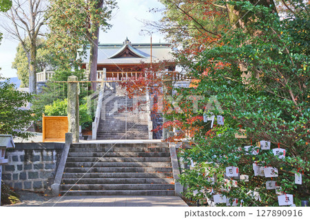 Autumn leaves and the worship hall on the approach to Tsurugi Shrine in Nogata, Fukuoka Prefecture Autumn leaves and the worship hall on the approach to Tsurugi Shrine in Nogata, Fukuoka Prefecture 127890916