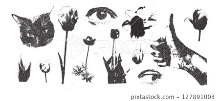 Flowers, cat and human eye collage set. Cutout photocopy simple floral, thumb up hand elements. Pieces of retro magazine halftone wildflowers. Vector retro illustration isolated on white background Flowers, cat and human eye collage set. Cutout photocopy simple floral, thumb up hand elements. Pieces of retro magazine halftone wildflowers. Vector retro illustration isolated on white background 127891003