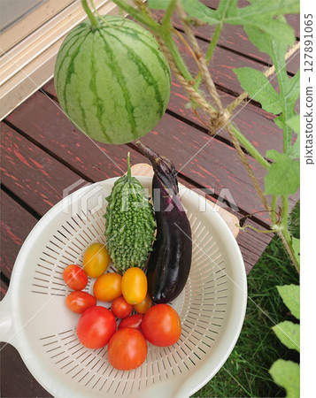Various kinds of summer vegetables harvested from the home garden (cherry tomatoes, bitter melon, small watermelon, long eggplant) Various kinds of summer vegetables harvested from the home garden (cherry tomatoes, bitter melon, small watermelon, long eggplant) 127891065