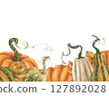 Frame of autumn harvest of ripe pumpkin. Fresh farm vegetables, healthy organic food, vegetarianism. Garden plants, agriculture, seasonal plants. Nature, agronomy rural life. Isolated illustration 127892028