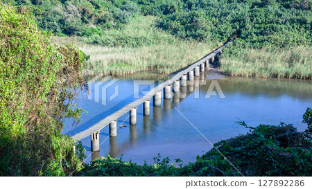River Lagoon Raised Wood Path Bridge Wetland River Lagoon Raised Wood Path Bridge Wetland 127892286