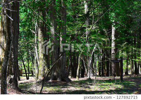 山中湖、文學之森公園景色 127892715