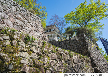 岐阜郡上八幡城的風景 127893030