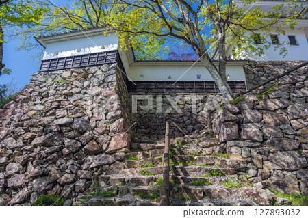 岐阜郡上八幡城的風景 127893032