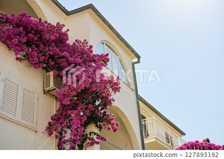 Building with blooming bougainvillea flowers 127893192