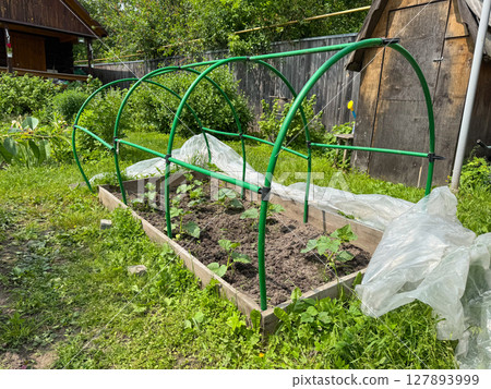 Garden bed with protective cover and seedlings in a lush backyard setting Garden bed with protective cover and seedlings in a lush backyard setting 127893999
