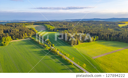 In a tranquil spring evening, lush green fields stretch across the landscape, bordered by a serene forest under a soft sky. Sunlight casts gentle shadows, enhancing the scene's peacefulness. 127894222