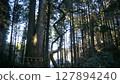 Oiwa Shrine 127894240