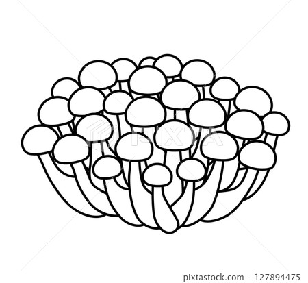 志地圖標 127894475