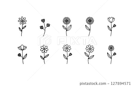 Detailed Garden Line Set. A charming variety of fine-line flowers with simple botanical forms and subtle differences, perfect for nature-inspired compositions and branding. 127894571
