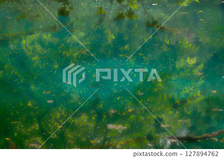 Maruike pond sparkling with emerald green light in the middle of the forest 127894762