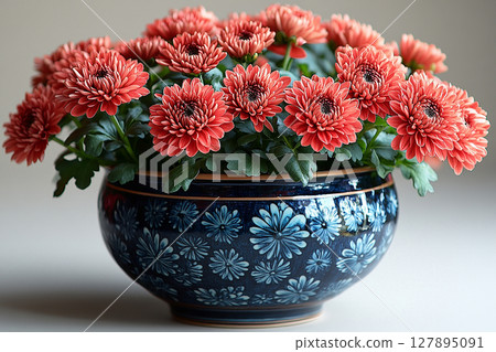 Perfect for a interior designers. Chrysanthemums bush with fleshy leaves and red flowers. 127895091