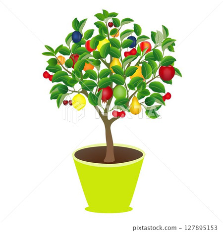 Tree in a pot with different fruits on a white background. 127895153