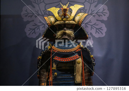 戰士的盔甲 戰士的盔甲 127895316