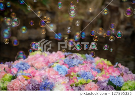 A moment of hydrangea and soap bubbles 127895325