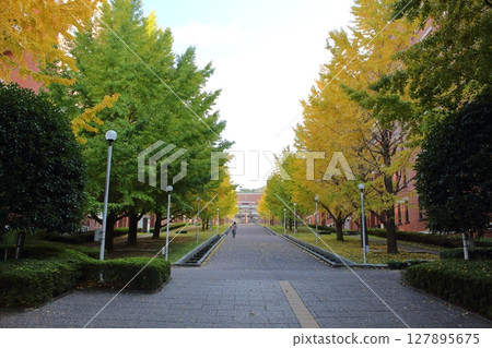 初秋的靜岡縣立大學矢田校區,靜岡縣靜岡市 初秋的靜岡縣立大學矢田校區,靜岡縣靜岡市 127895675