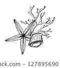 Detailed black and white vector illustration with a starfish, a conch shell, and coral, seaweed branches. Hand drawn composition. Sketch in line art style isolated on white. Perfect for graphic design 127895690