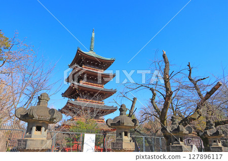 View of the five-story pagoda at the former Kan'ei-ji temple in Taito Ward, Tokyo 127896117