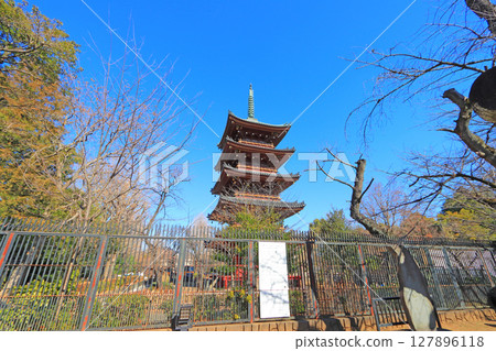 東京台東區舊寬永寺五重塔的風景 127896118