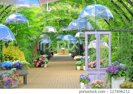 英國花園繡球花展 127896212