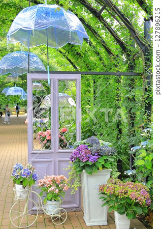 英國花園繡球花展 英國花園繡球花展 127896215