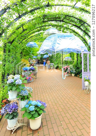 英國花園繡球花展 127896217