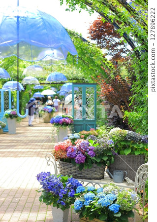 英國花園繡球花展 127896222