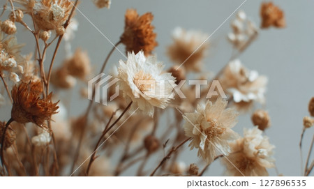 A soft and dreamy close-up of beige and brown dried flowers against a pale background 127896535