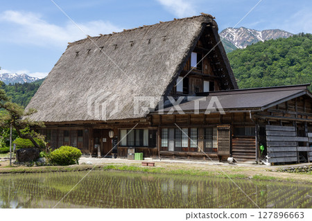 初夏的白川鄉合掌屋和稻田 初夏的白川鄉合掌屋和稻田 127896663