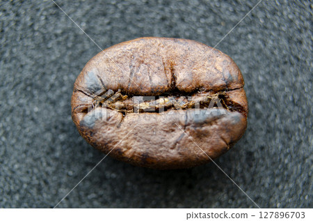 Horizontally resting coffee bean with a soft shine, emphasizing the roasted texture and form on a cool dark backdrop 127896703