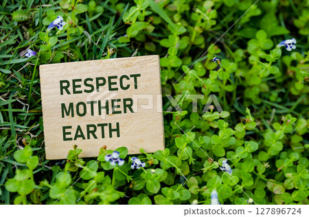 Respect Mother Earth text on wooden block, encouraging respect and kindness toward the planet. Eco conscious living concept 127896724