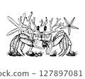 The black and white vector illustration showcases a detailed crab surrounded by starfish, coral, seaweed branches and rocks surrounded by wild grass. Hand drawn composition. Sketch in line art style 127897081