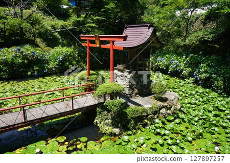 岡山縣真庭市的真言宗寺廟木山寺:辯才天 岡山縣真庭市的真言宗寺廟木山寺:辯才天 127897257
